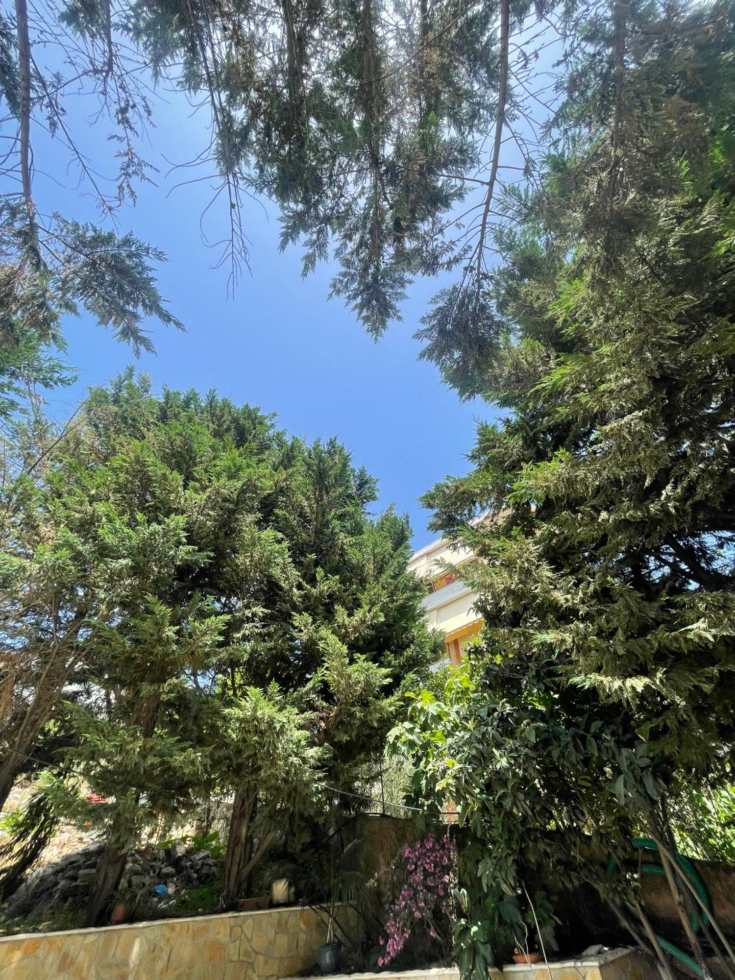 Hotel Freskia Σαράντα Εξωτερικό φωτογραφία